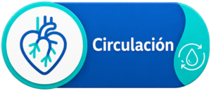 CIRCULACIÓN