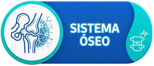 ÓSEO