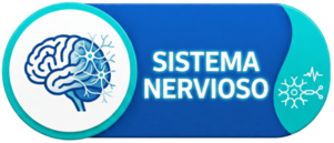 SISTEMA NERVIOSO